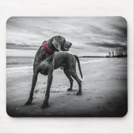 Mousepad Cão na Praia Foto Preto & Branco com Coleira Verme