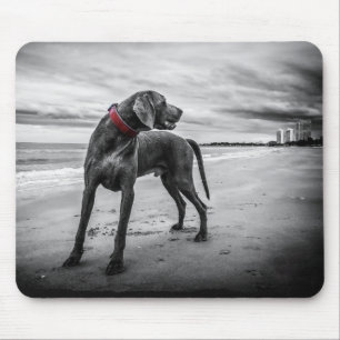 Mousepad Cão na Praia Foto Preto & Branco com Coleira Verme