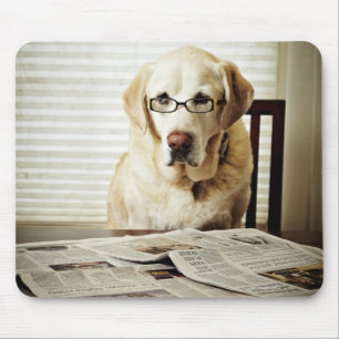 Mousepad Cão na rotina da manhã