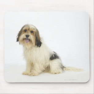 Mousepad Cão no branco 104