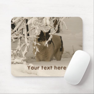 Mousepad Cão no inverno
