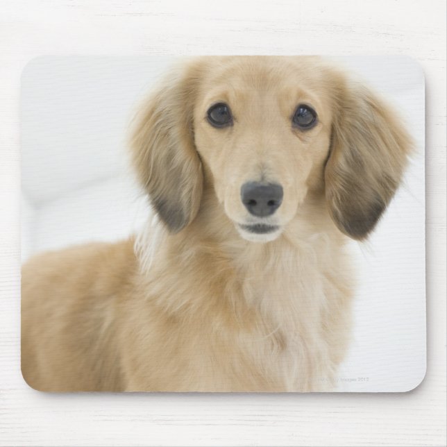 Mousepad Cão no sofá (Frente)