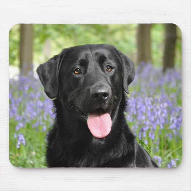 Mousepad Cão nos Bluebells (Frente)