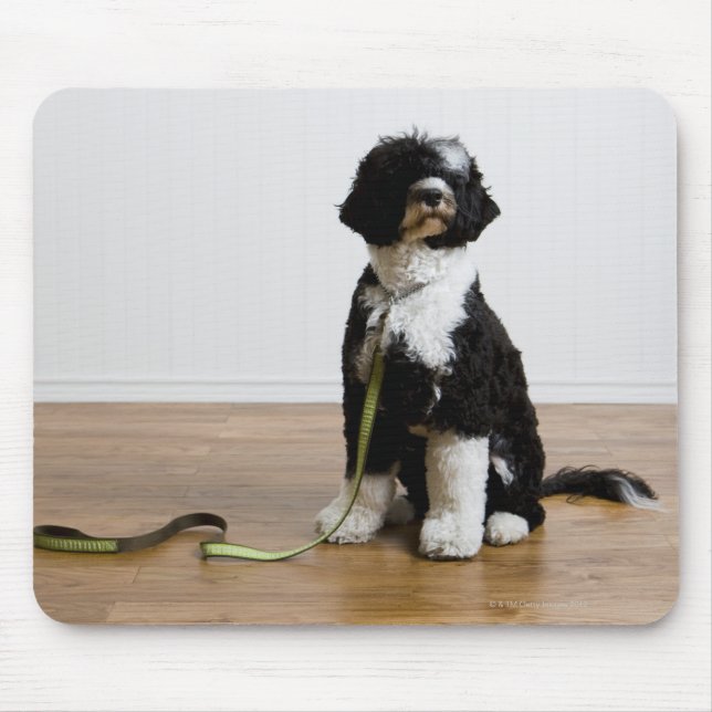Mousepad cão numa coleira (Frente)