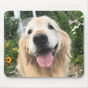 Mousepad Cão Ouro para Retriever no Jardim da Flor