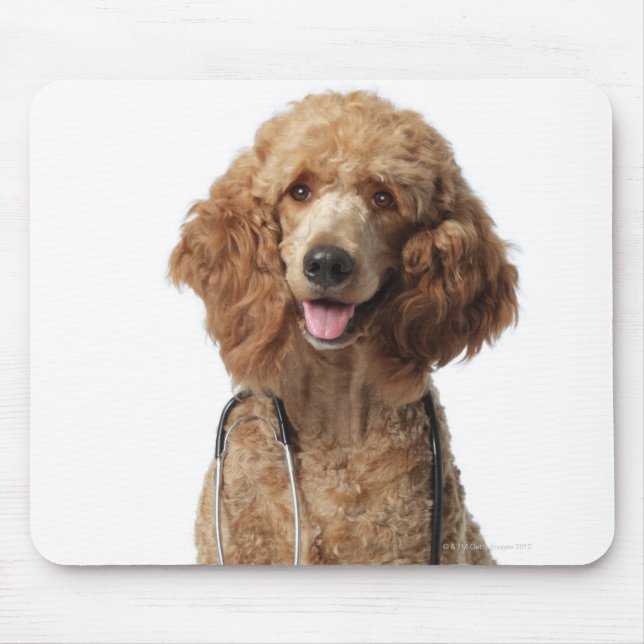 Mousepad Cão ouro vestindo estetoscópio (Frente)