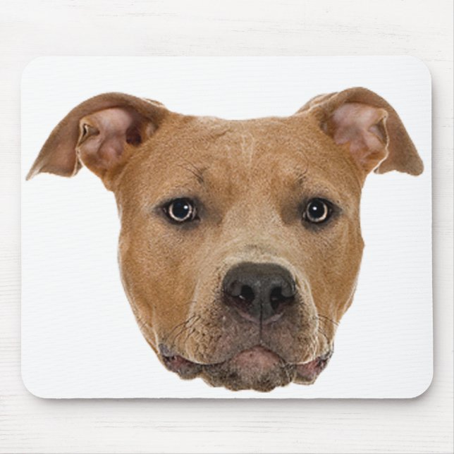 Mousepad Cão Pitbull (Frente)