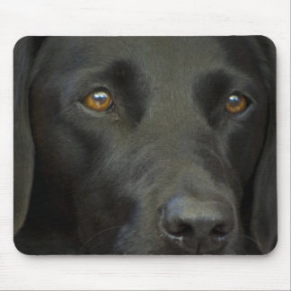 Mousepad Cão preto de Labrador