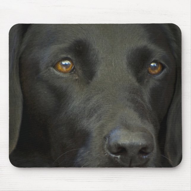 Mousepad Cão preto de Labrador (Frente)