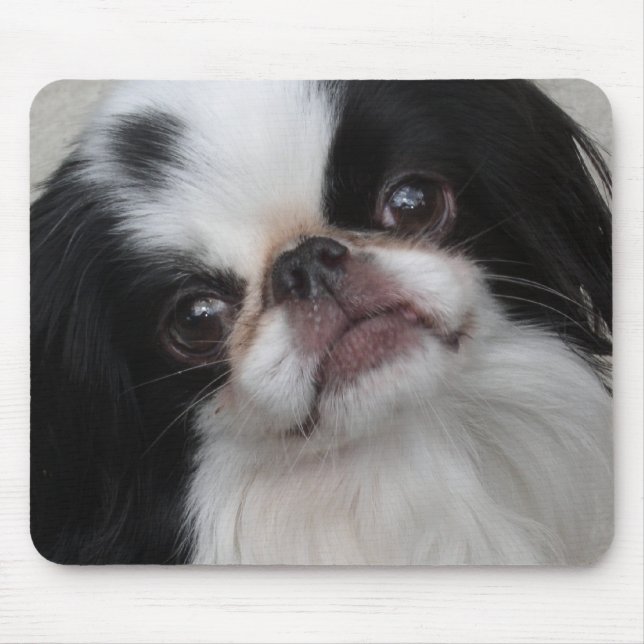 Mousepad Cão preto e branco (Frente)