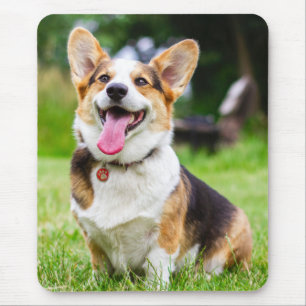 Mousepad Cão-Puppinho de Três Cores Pembroke Welsh Corgi