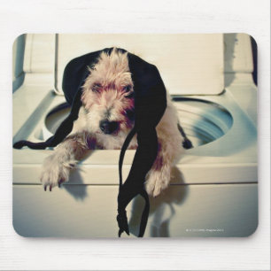 Mousepad Cão que ajuda para fora com a lavagem