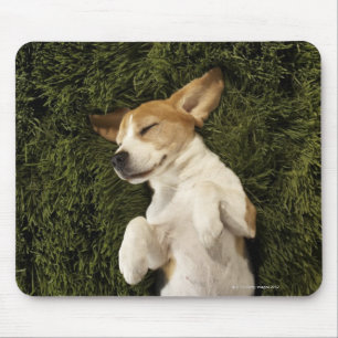 Mousepad Cão que encontra-se no sono da grama