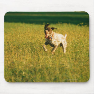 Mousepad Cão que funciona através da grama