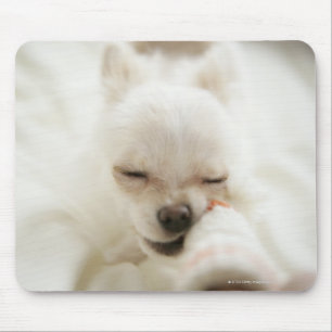 Mousepad Cão que guardara o brinquedo na boca
