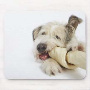 Mousepad Cão que mastiga no osso do couro cru