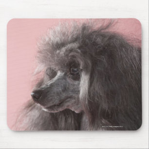 Mousepad Cão que olha afastado