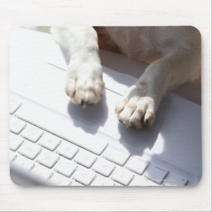 Mousepad Cão que pôr suas mãos sobre um laptop