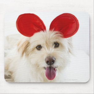Mousepad Cão que veste as orelhas do brinquedo na cama