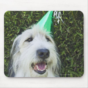 Mousepad Cão que veste o chapéu do partido