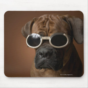 Mousepad Cão que veste óculos de sol
