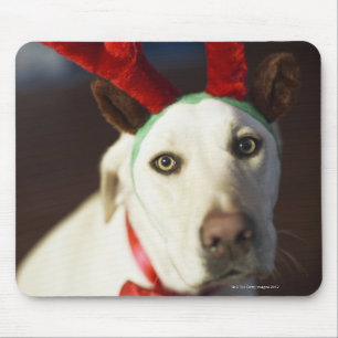 Mousepad Cão que veste os antlers da rena
