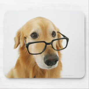 Mousepad Cão que vestem o laço e vidros que sentam-se na