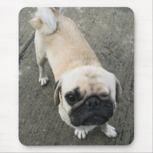 Mousepad CÃO TAILANDÊS do PUG de Bauwk…
