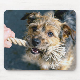 Mousepad Cão Terrier Jogando Cabo de Guerra