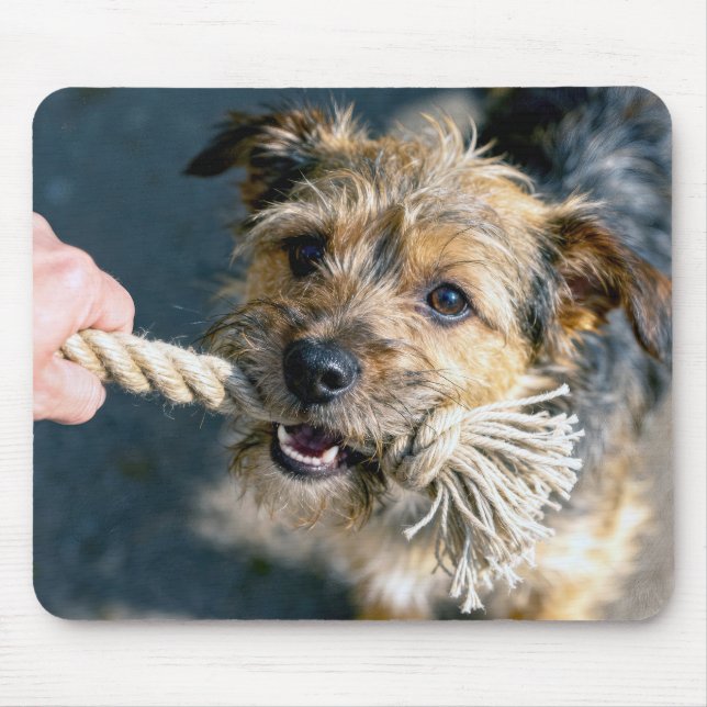 Mousepad Cão Terrier Jogando Cabo de Guerra (Frente)