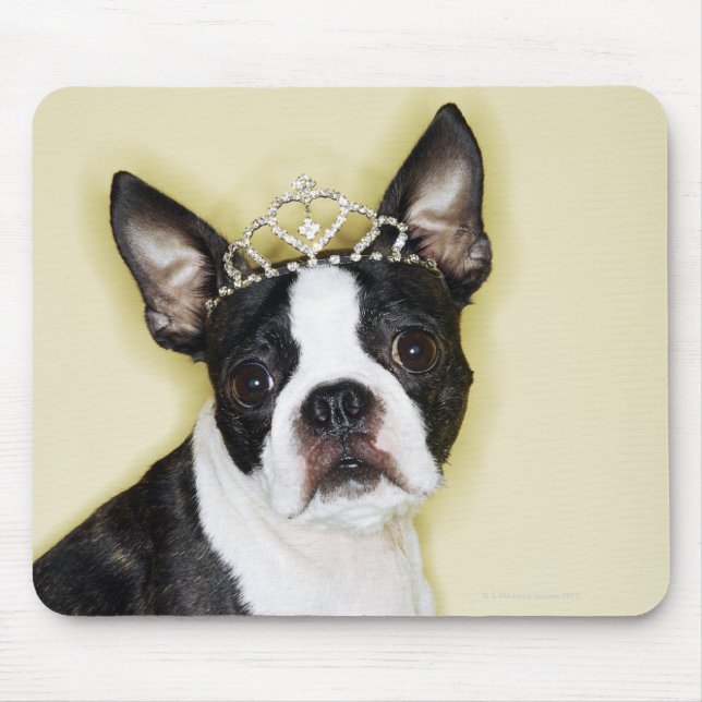 Mousepad Cão vestindo tiara (Frente)