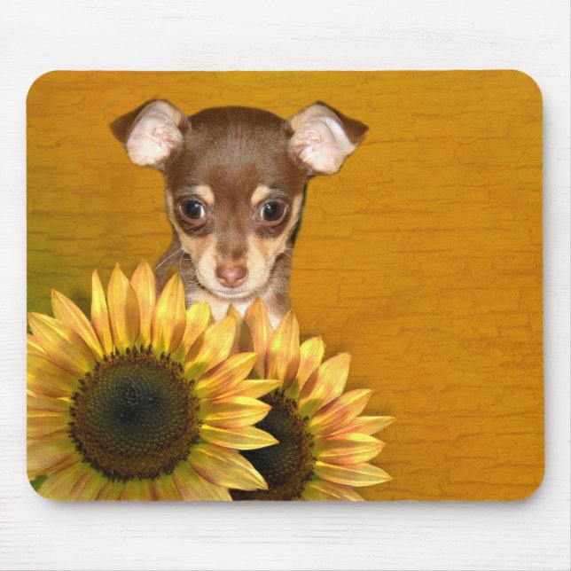 Mousepad Cãozinho Chihuahua e girassóis (Frente)