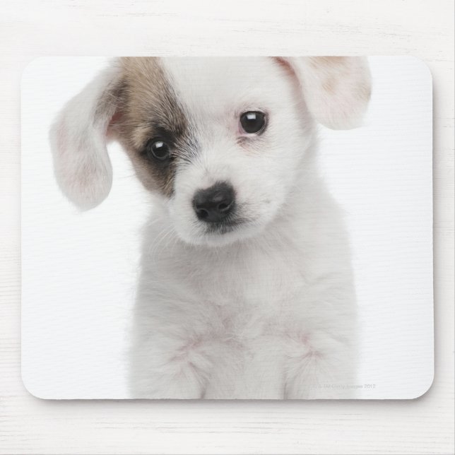 Mousepad Cãozinho da raça cruzada (2 meses de idade) (Frente)
