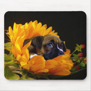 Mousepad Cãozinho de girassol
