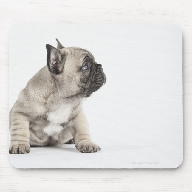 Mousepad Cãozinho-de-raça (Frente)