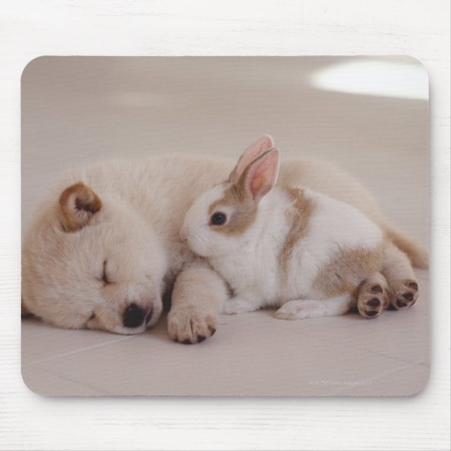 Mousepad Cãozinho e Coelho (Frente)