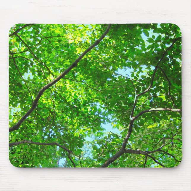 Mousepad Capa de Ramificações Verdes e Folhosas com Céu Azu (Frente)