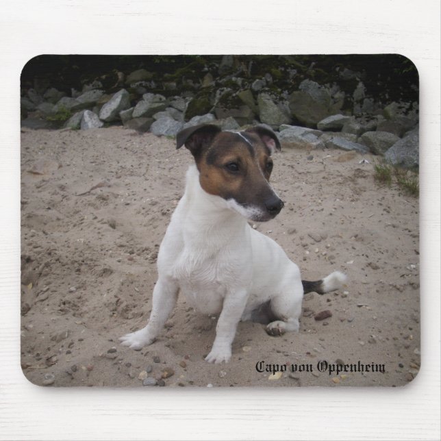 Mousepad Capo von Oppenheim Jack Russell Terrier, Cão (Frente)