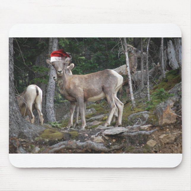 Mousepad Caprinos de montanha com Papai Noel (Frente)