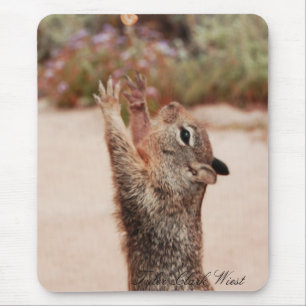 Mousepad Captura 2 do esquilo