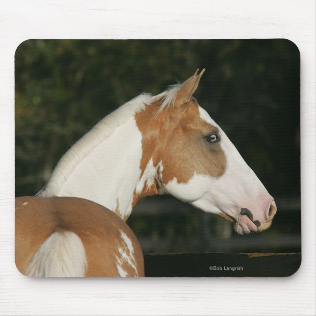 Mousepad Captura de Cabeça de Tinta Horse 2 (Frente)