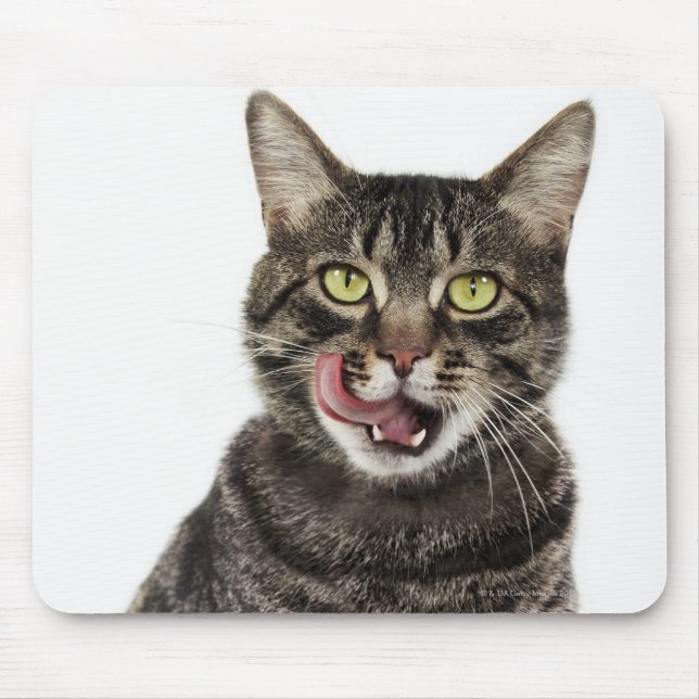 Mousepad Captura de cabeça de um gato-do-mato-pequeno (Frente)