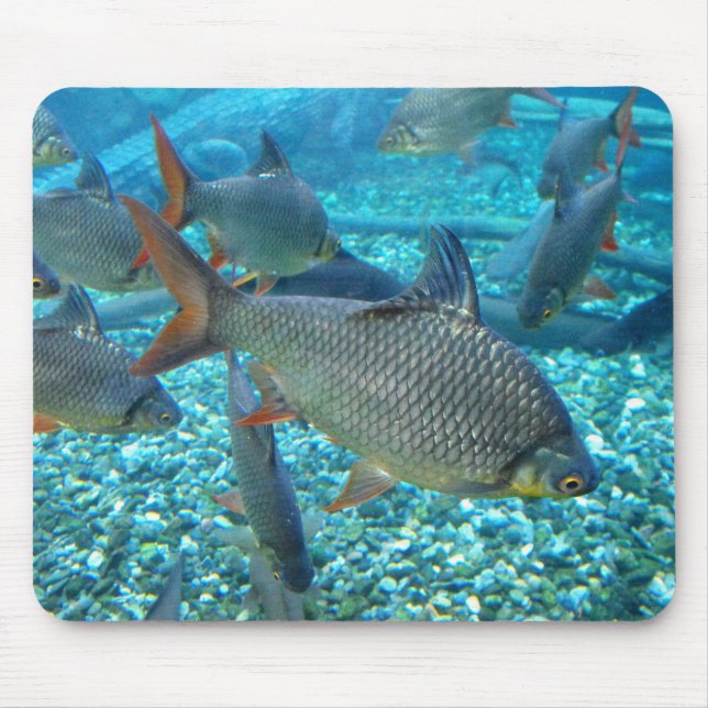 Mousepad Captura de peixe (Frente)
