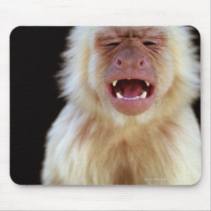 Mousepad capuchin Branco-throated (capucinus de Cebus)