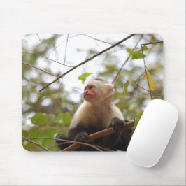Mousepad Capuchin de face branca, fotografia de macacos sel