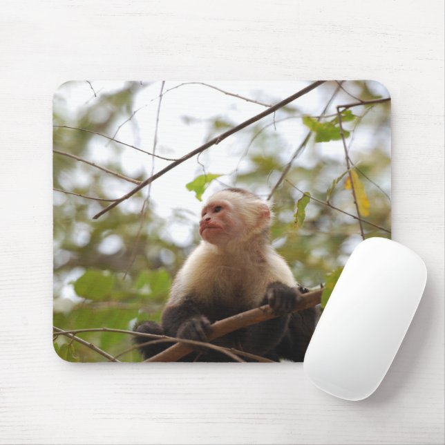 Mousepad Capuchin de face branca, fotografia de macacos sel (Com mouse)