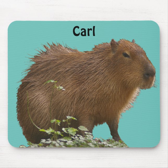 Mousepad Capybara (Frente)