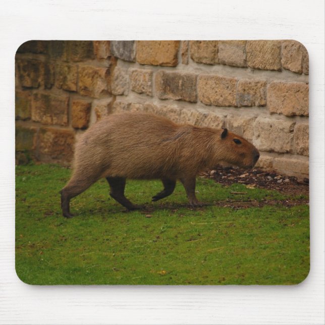 Mousepad capybara (Frente)
