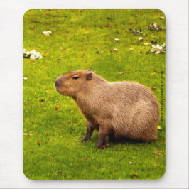 Mousepad Capybara