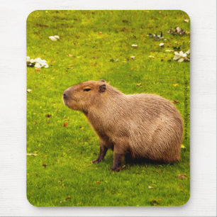 Mousepad Capybara